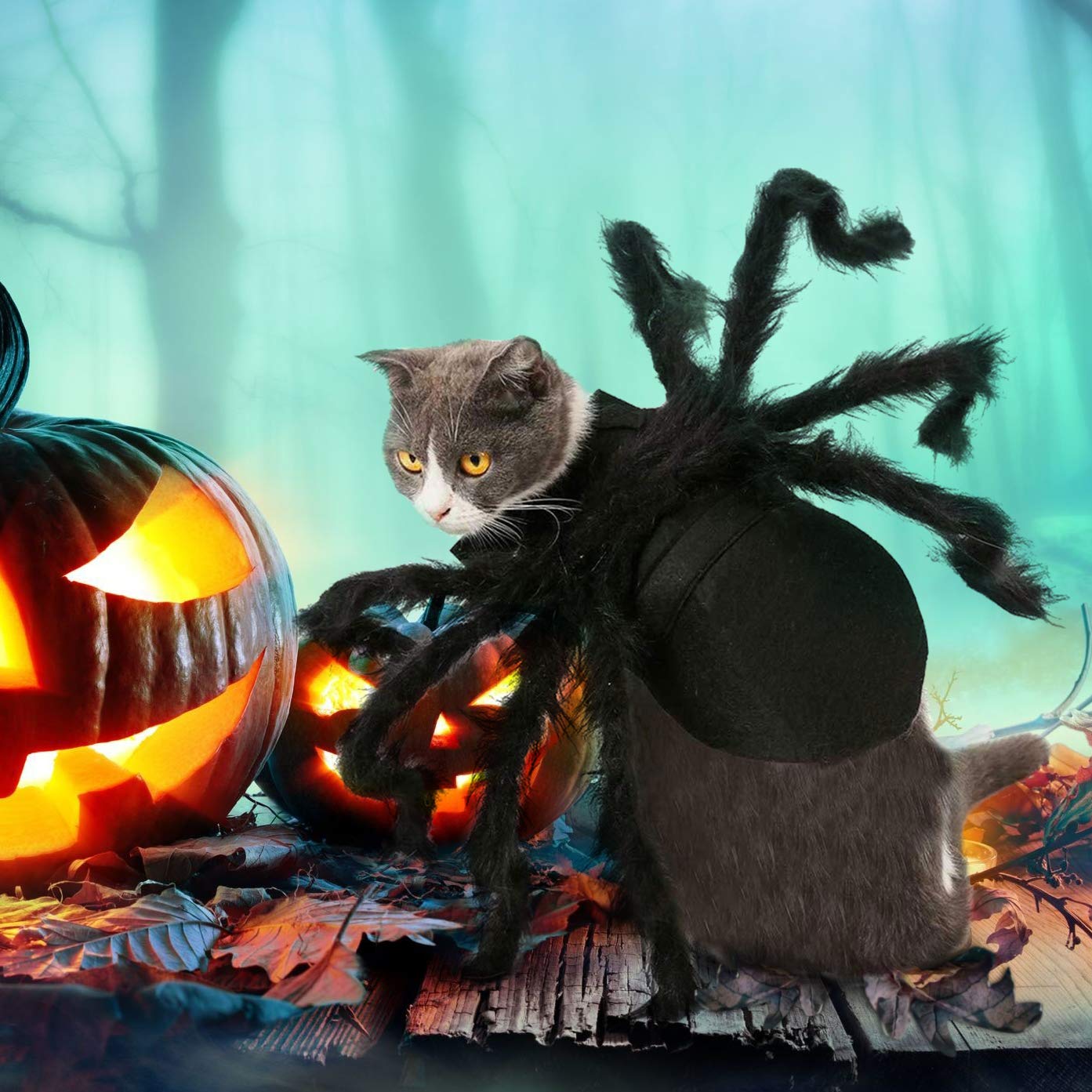 Halloween Spider Cat Costume
