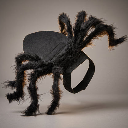 Halloween Spider Cat Costume