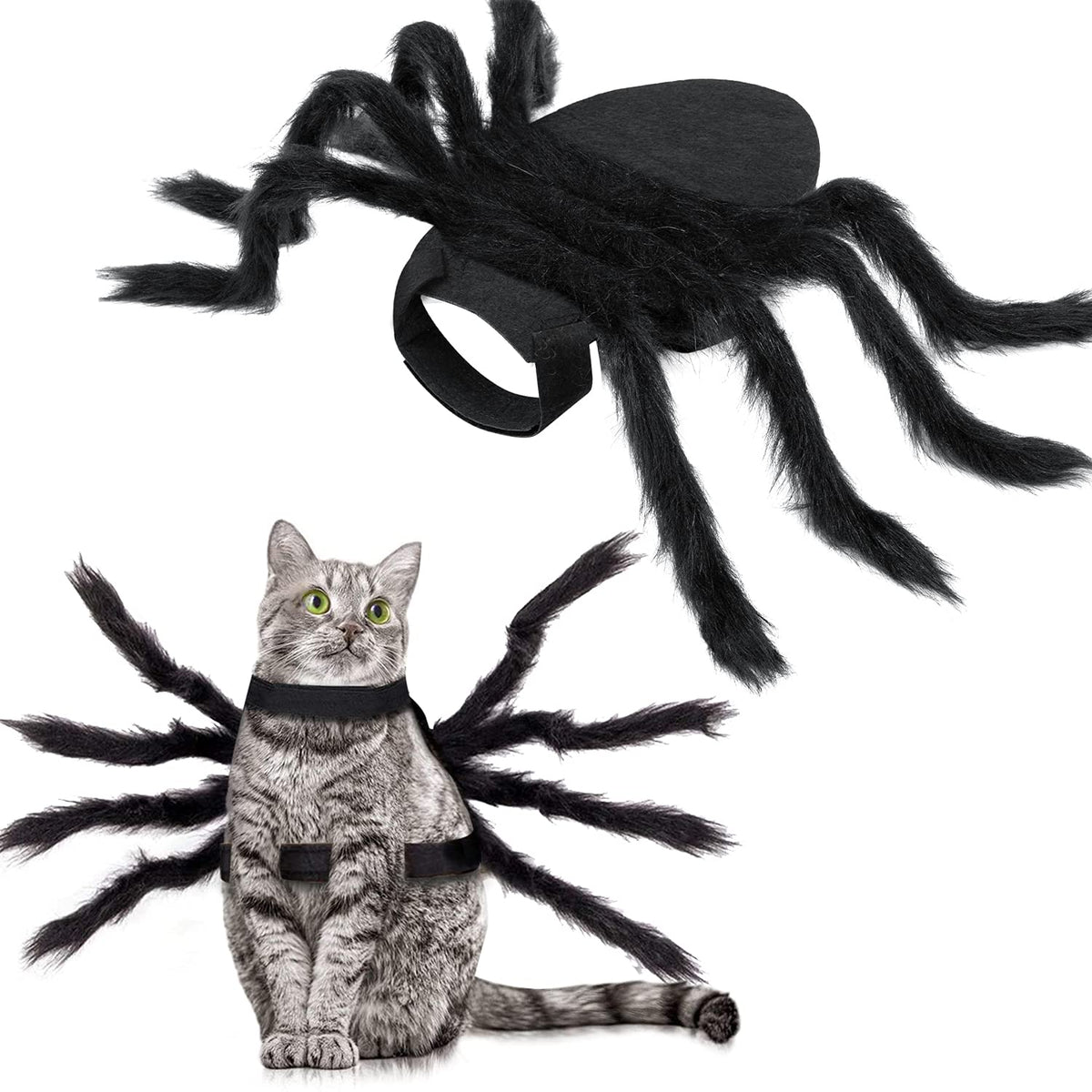 Halloween spider cat costume front view