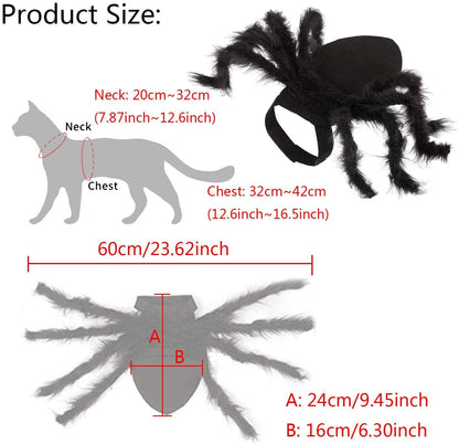 Halloween Spider Cat Costume