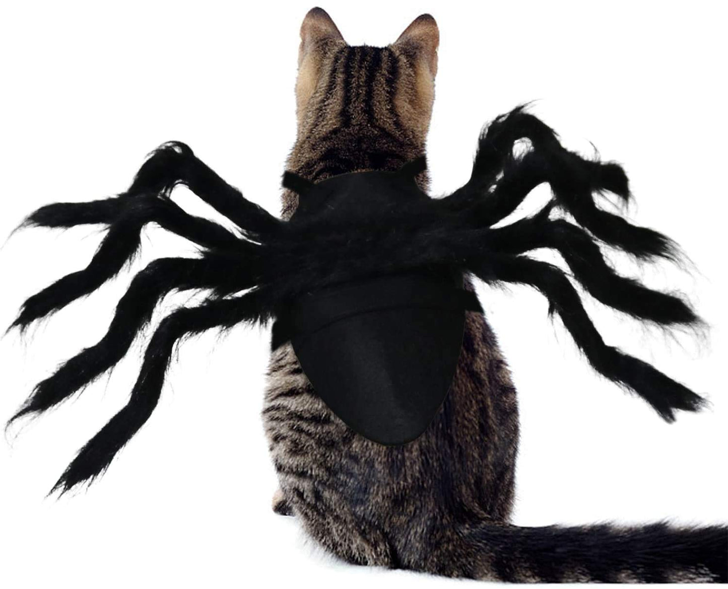 Halloween Spider Cat Costume